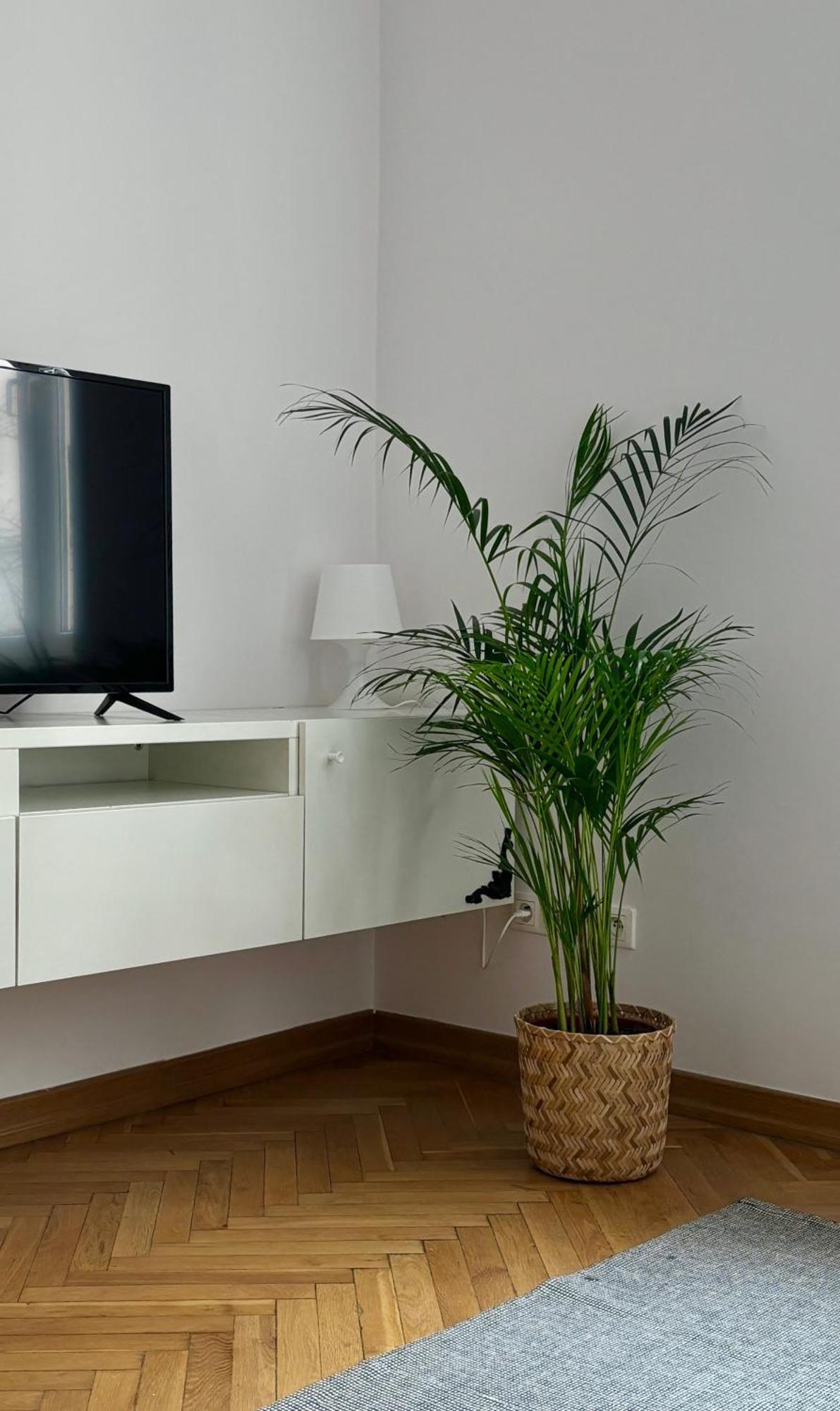 Apartament K3 Warsawa Bagian luar foto